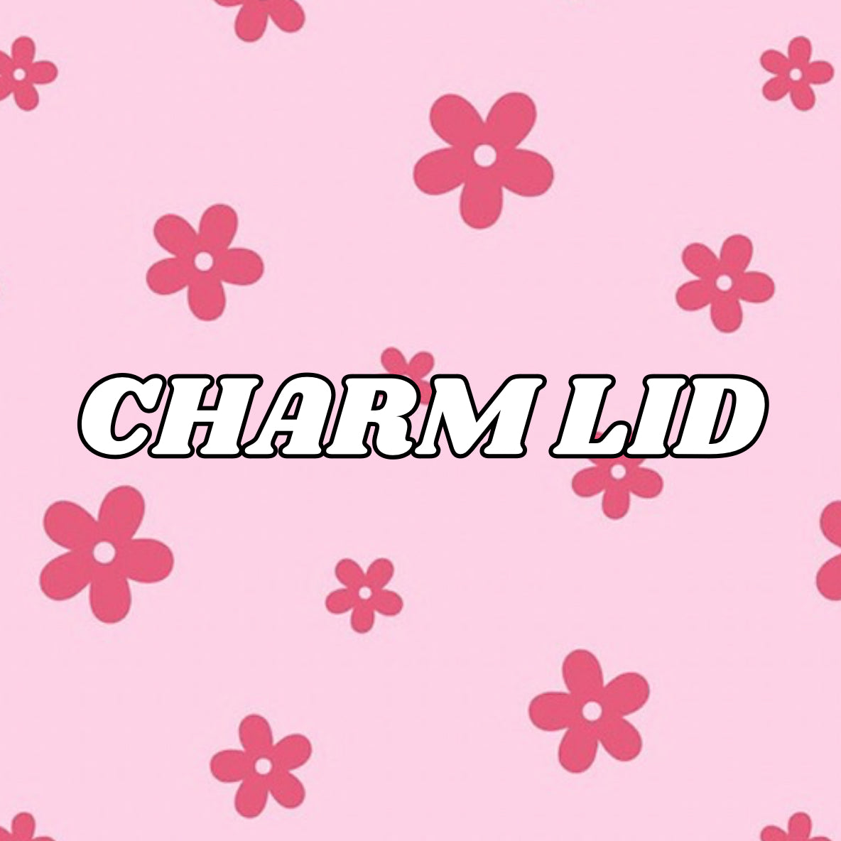 Charm lid