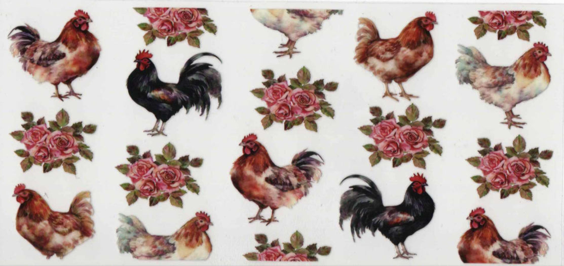 Chickens