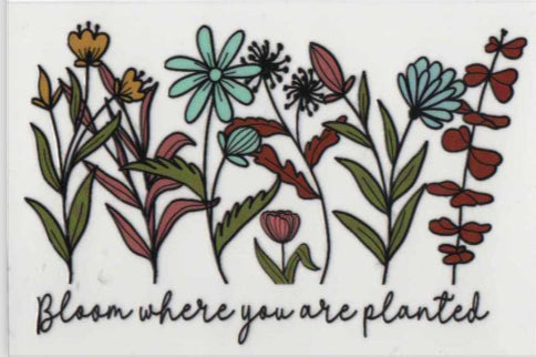 Bloom where you are planted