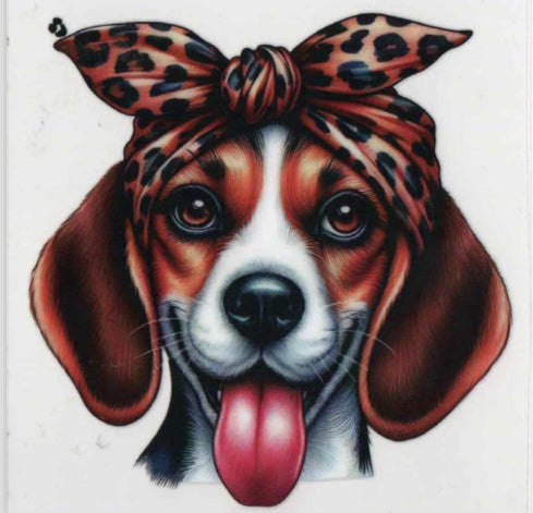 Beagle with bow