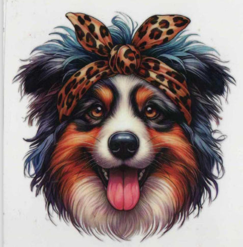 Australian Shepherd with bow