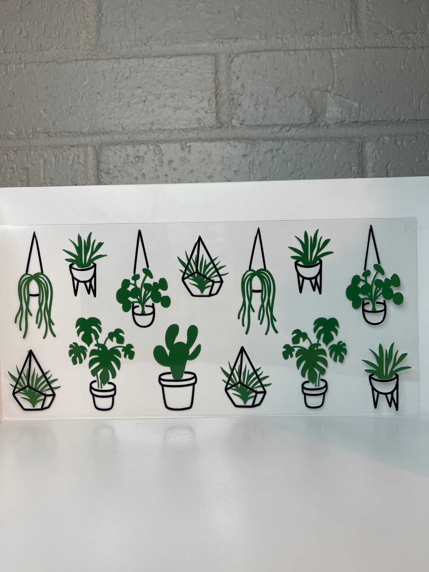 Plants wrap