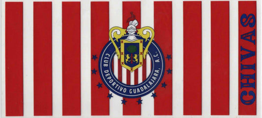 Soccer Chivas