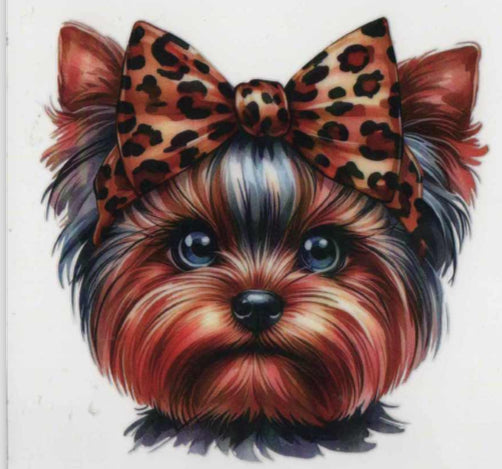 Yorkie with bow