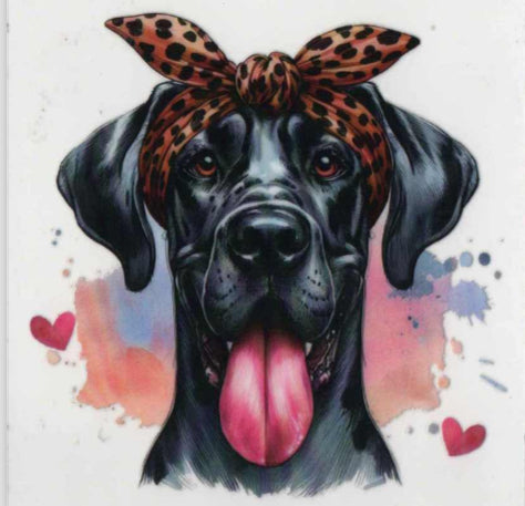 Great dane with bow