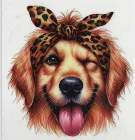Golden retriever with bow
