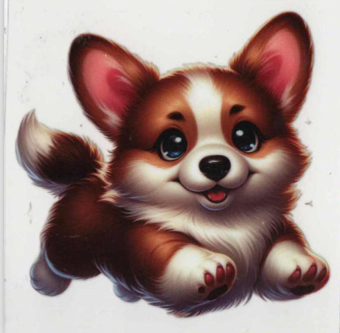 Corgi